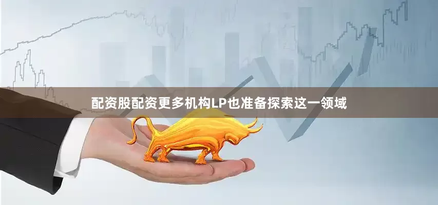 配资股配资更多机构LP也准备探索这一领域