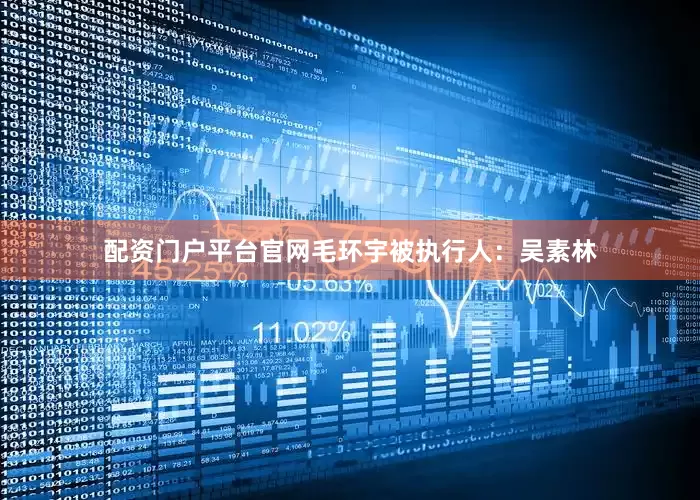 配资门户平台官网　　毛环宇　　被执行人：吴素林