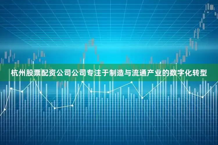 杭州股票配资公司公司专注于制造与流通产业的数字化转型