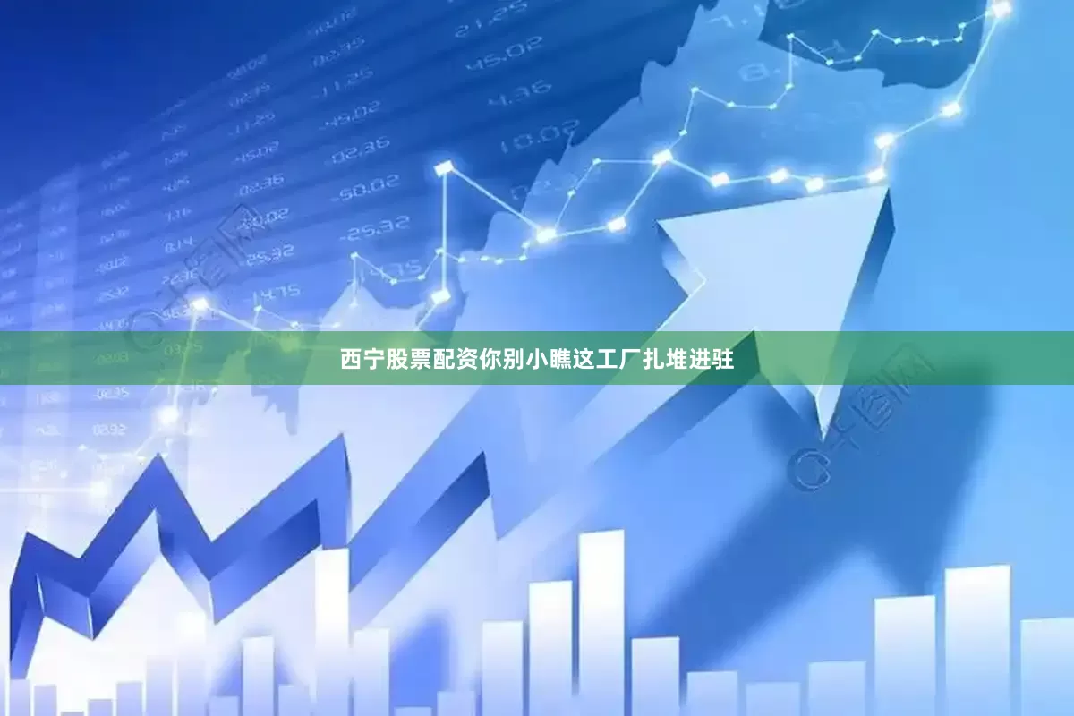西宁股票配资你别小瞧这工厂扎堆进驻