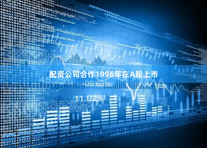配资公司合作1996年在A股上市